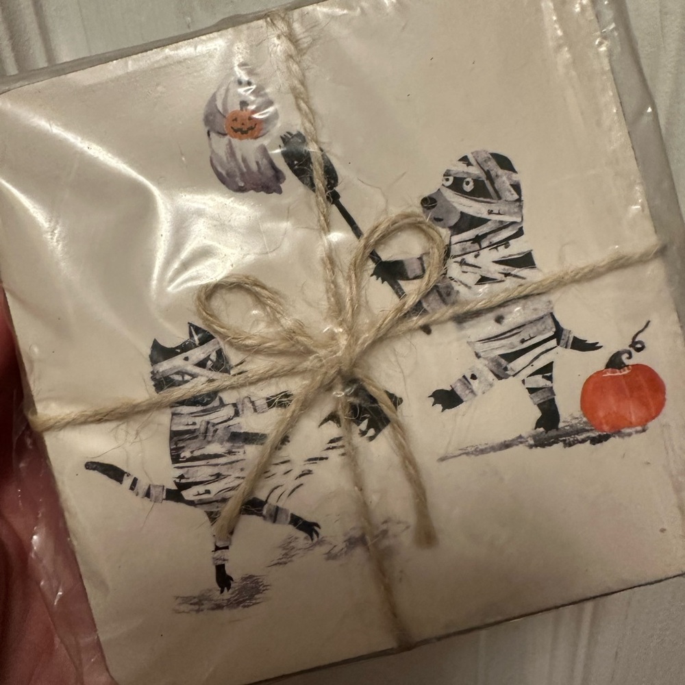 🎃 NWT Doug and Friends Halloween Coaster Set by Pottery Barn - Picture 5 of 6